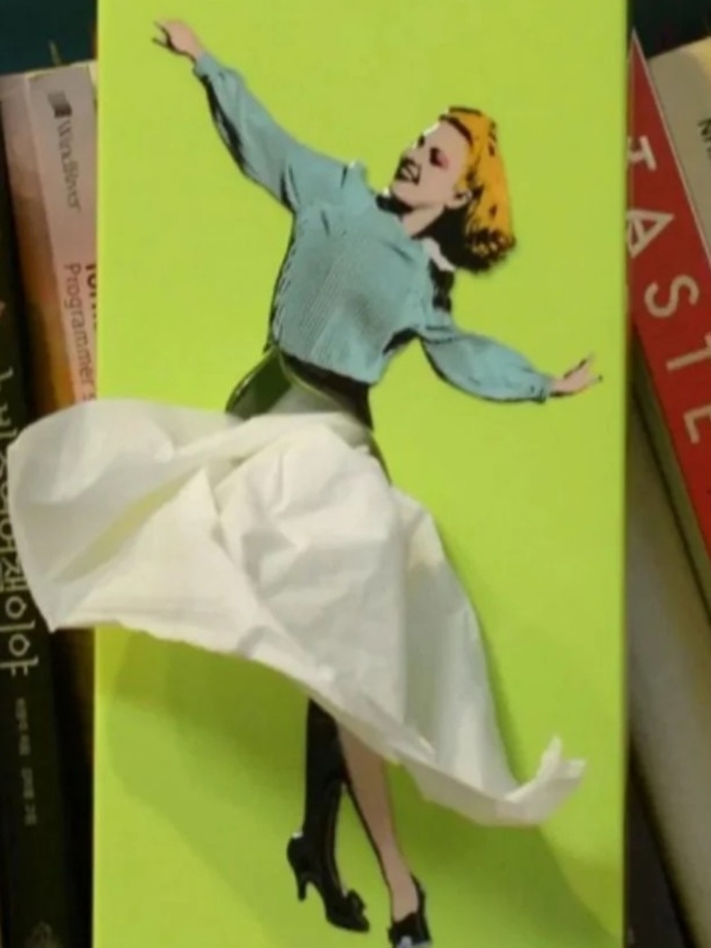NEW Flying Skirt" tissue box